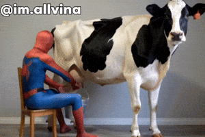 Spiderman Dancingmom GIF