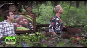 Ibes GIF