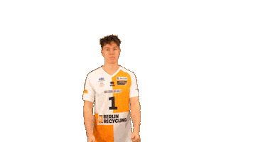 Volleyball Berlin Sticker by BR Volleys