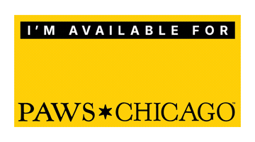 Sticker by PAWS Chicago