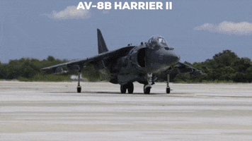 Av-Harrier 8B Ii GIF