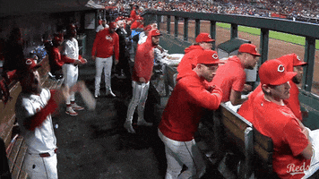 Hands Up Sport GIF by Cincinnati Reds
