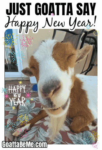 Happy New Year Cute Goats GIF by Goatta Be Me Goats! Adventures of Java, Toffee, Pumpkin and Cookie!