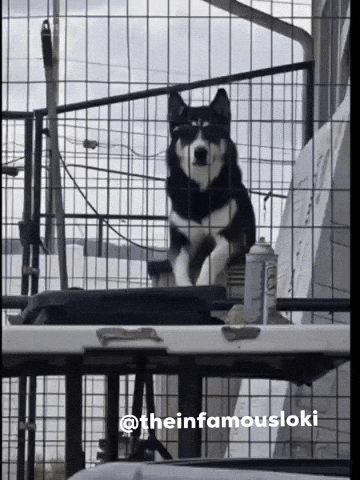 Fire Lol GIF by Loki