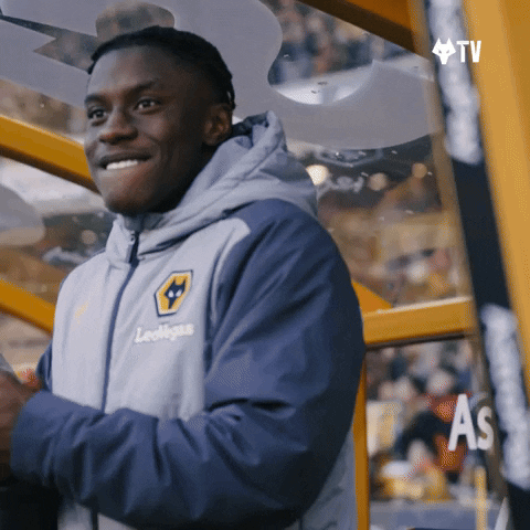 Happy Lets Go GIF by Wolves