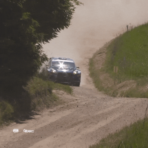 Motorsport Coming GIF by FIA European Rally Championship