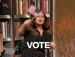 Vote Voting GIF by The Drew Barrymore Show