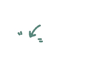 Point Sticker