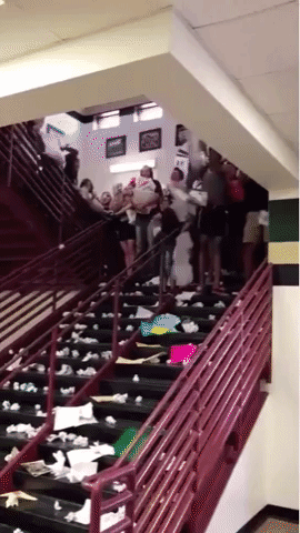 lisahoogmoet done paper studying throwing GIF