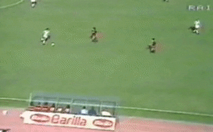 Novellino GIF