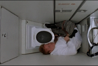 son GIF