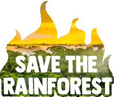 Amazon Fire Sticker By Gif