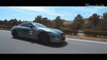 Slow Motion Travel GIF by Yiannimize