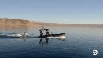Surf Wakeboard GIF by Discovery