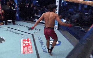 Ufc Emote GIF