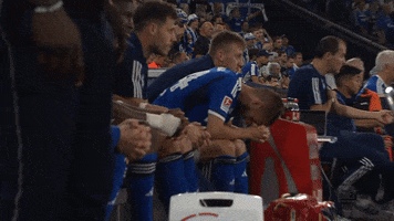 Thrilling Dominick Drexler GIF by FC Schalke 04