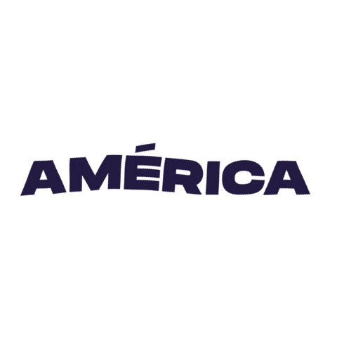 America Sticker
