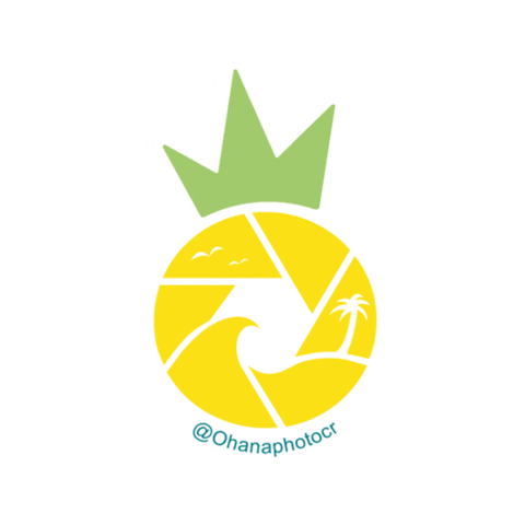 Beach Ohana Sticker by OHANAPHOTOSHOP