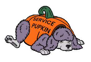 Guide Dog Sticker by Guide Dogs of the Desert