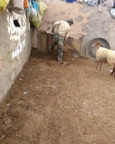 baby release GIF