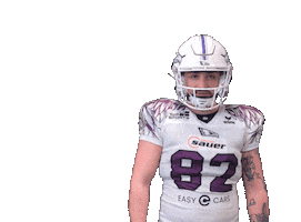 Reutlingen Eagles Sticker