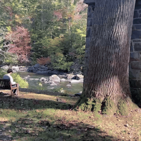 Autumn Bench GIF
