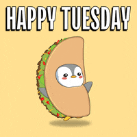 Happy Taco Time GIF by Pudgy Penguins