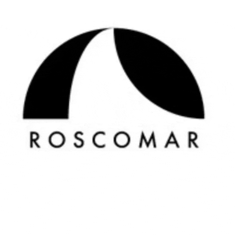 RoscomarOfficial sneakers kicks trainers launchparty GIF