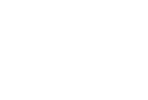 Berson Group Sticker