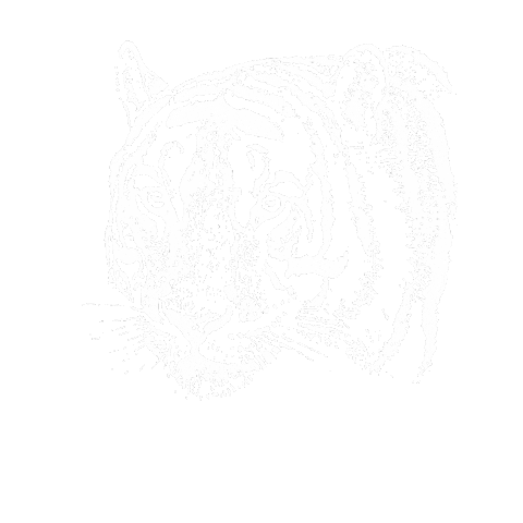 STILLMAN Sticker