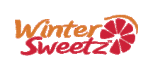 Grapefruit Sticker by Winter Sweetz
