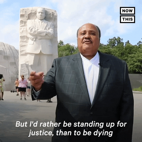 News Protest GIF by NowThis