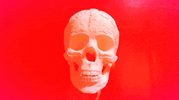 Visuals Blender GIF by MauroBueno