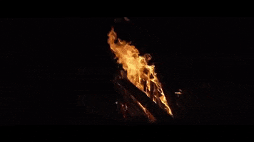 Whiskey Bonfire GIF by Canaan Smith