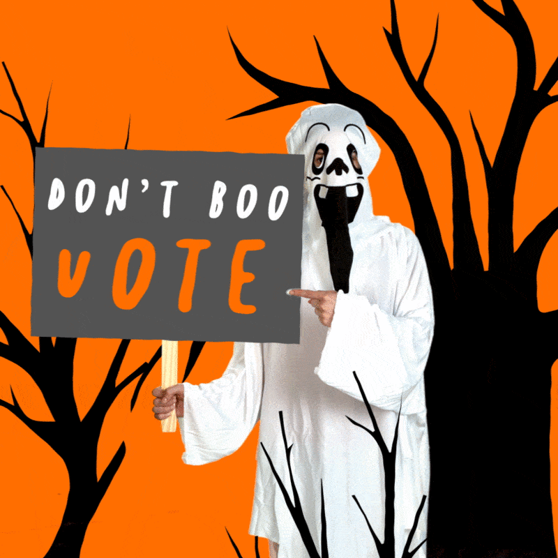 Vote Now Election Day GIF by INTO ACTION