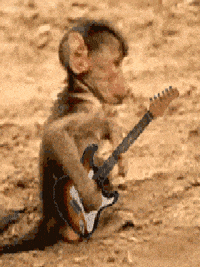 Free-download GIFs - Get the best GIF on GIPHY