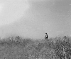Horses Horse Ride GIF by US National Archives
