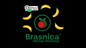 Banana Fruit GIF by brasnicaoficial