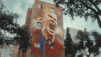 Haaland GIF by Budweiser