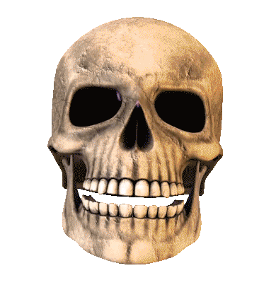 Sticker by sntacticaltraining