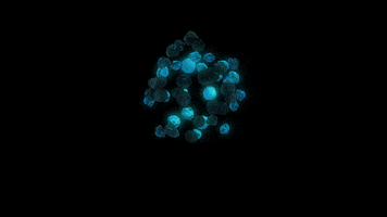 animaudio psytrance landofawareness duendomatka GIF