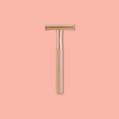 Kappi.Life GIF