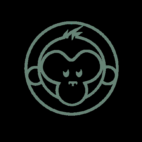 newmonkey.nl GIF