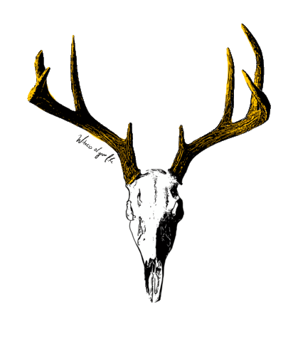 Deer Sticker