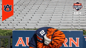 College Colors GIF by Auburn University