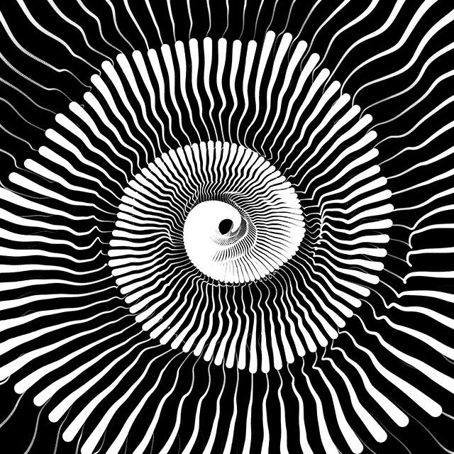 Mesmerizing Black And White GIF by xponentialdesign