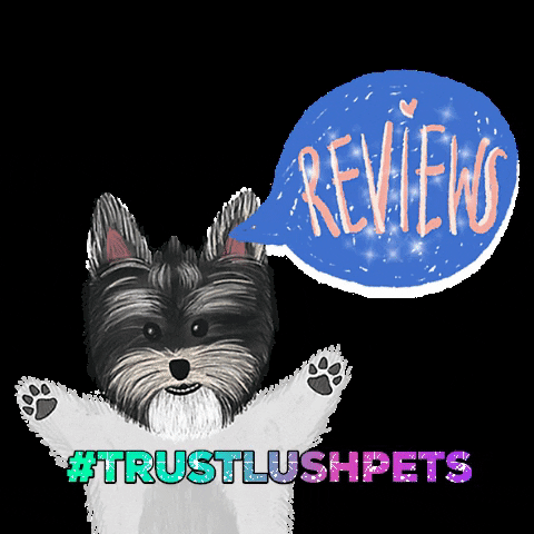 lushpetsco review reviews pet store petstore GIF