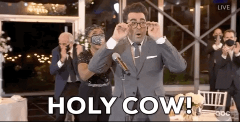 Dan Levy Abc GIF by Emmys - Find & Share on GIPHY