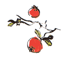 Dt Wedding Sticker by All Dunn Up