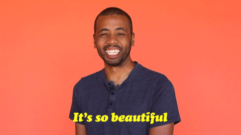 https://media3.giphy.com/media/kG11Td3QYNK5jjDLw4/source.gif